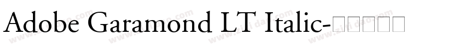 Adobe Garamond LT Italic字体转换